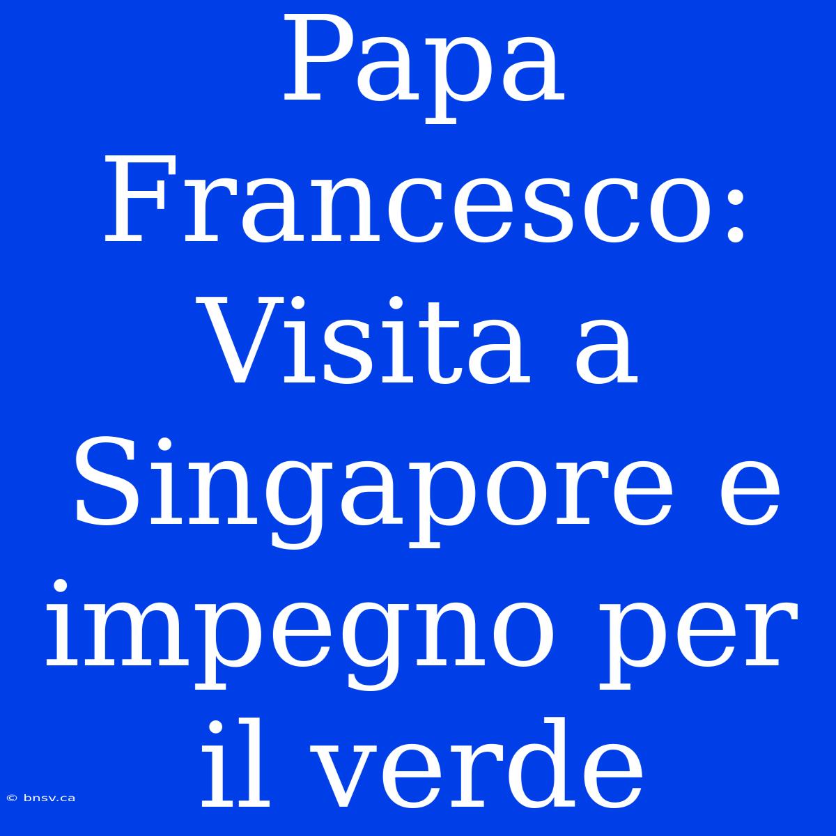 Papa Francesco: Visita A Singapore E Impegno Per Il Verde