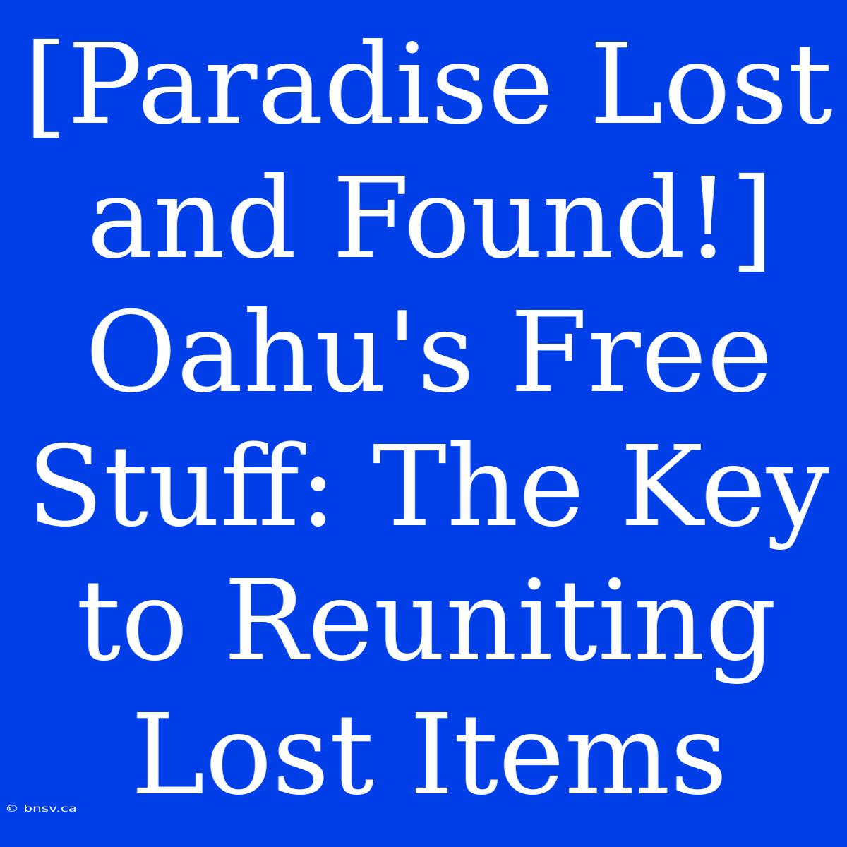 [Paradise Lost And Found!] Oahu's Free Stuff: The Key To Reuniting Lost Items