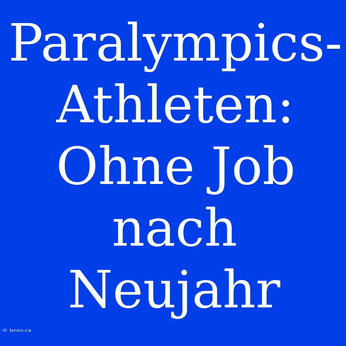 Paralympics-Athleten: Ohne Job Nach Neujahr