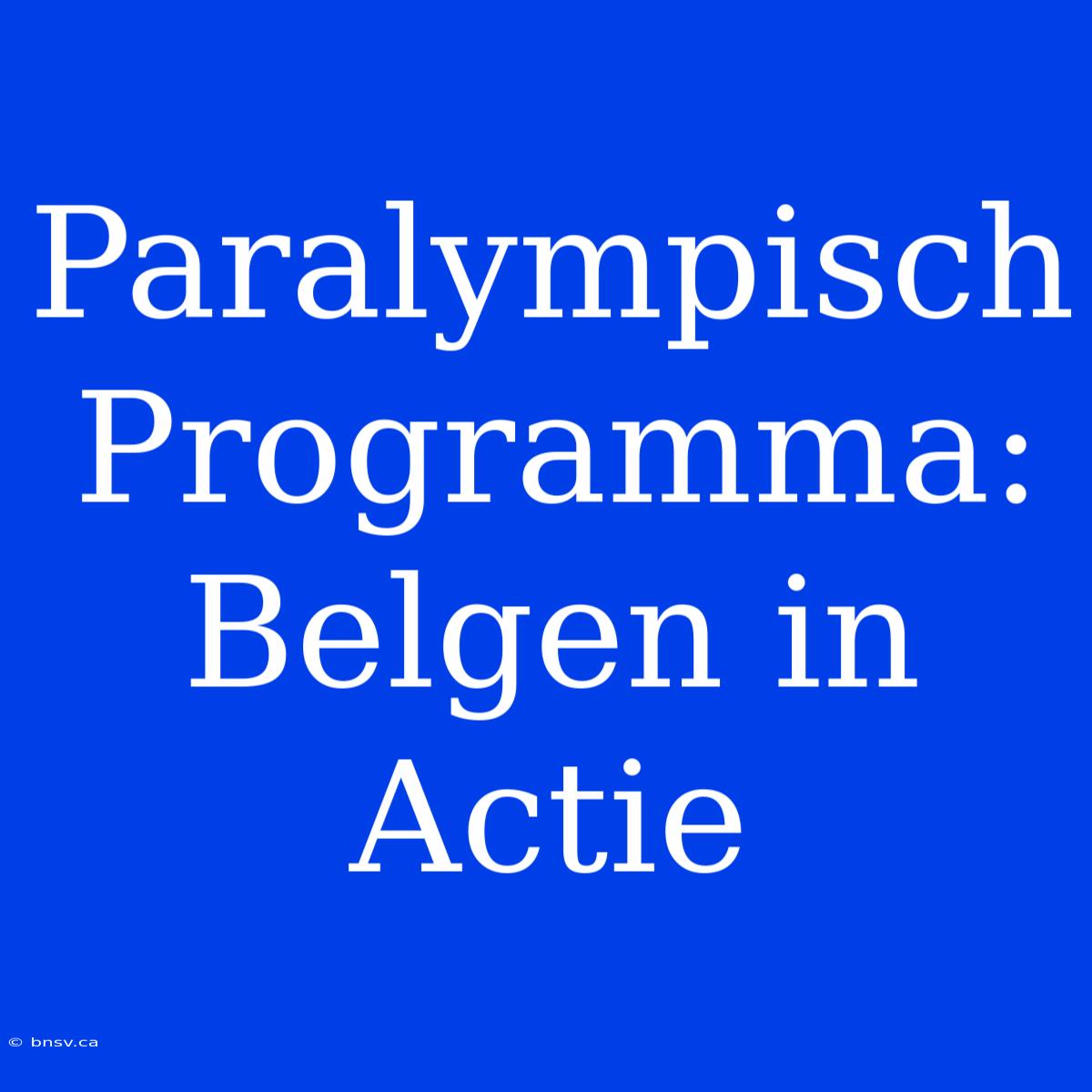 Paralympisch Programma: Belgen In Actie