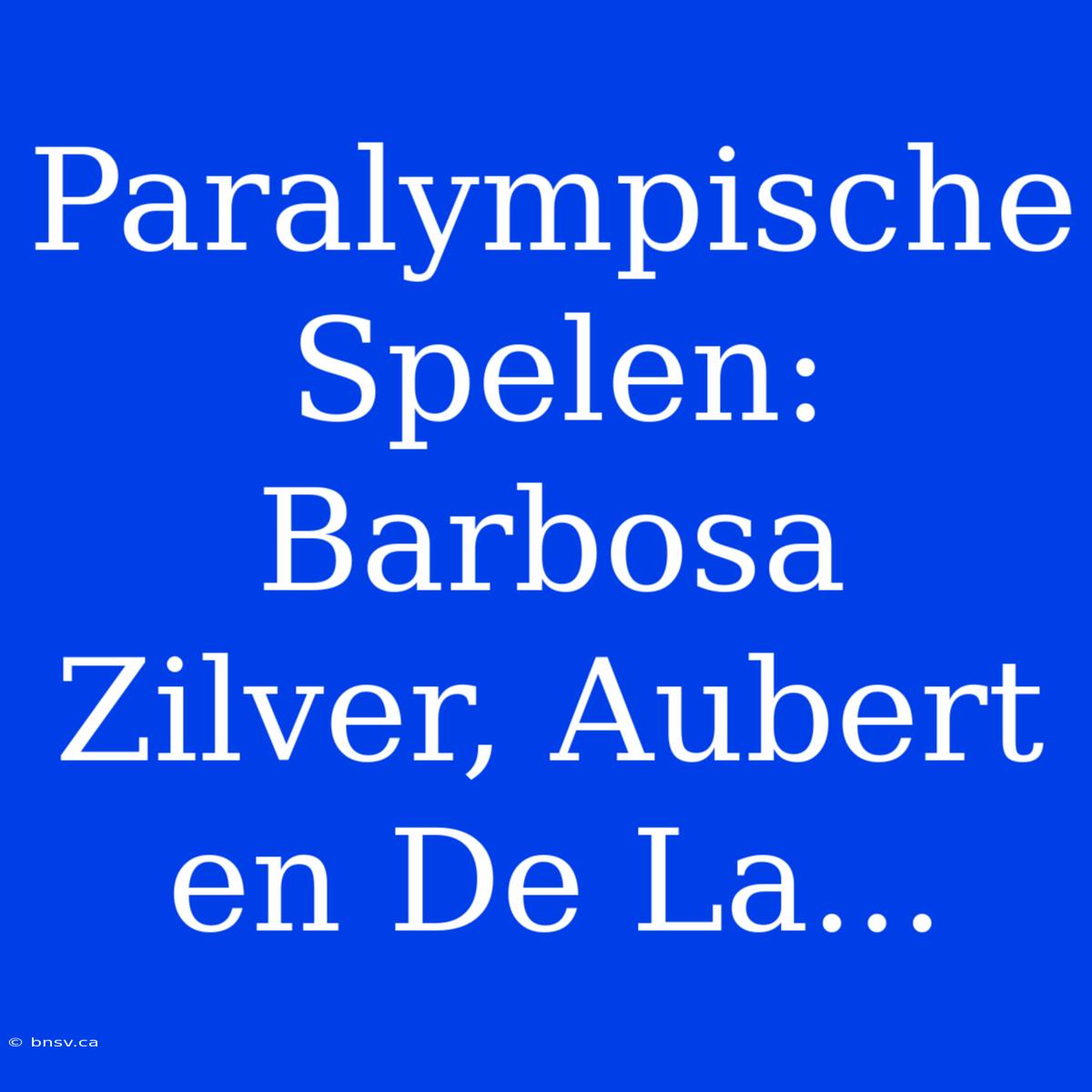 Paralympische Spelen: Barbosa Zilver, Aubert En De La...