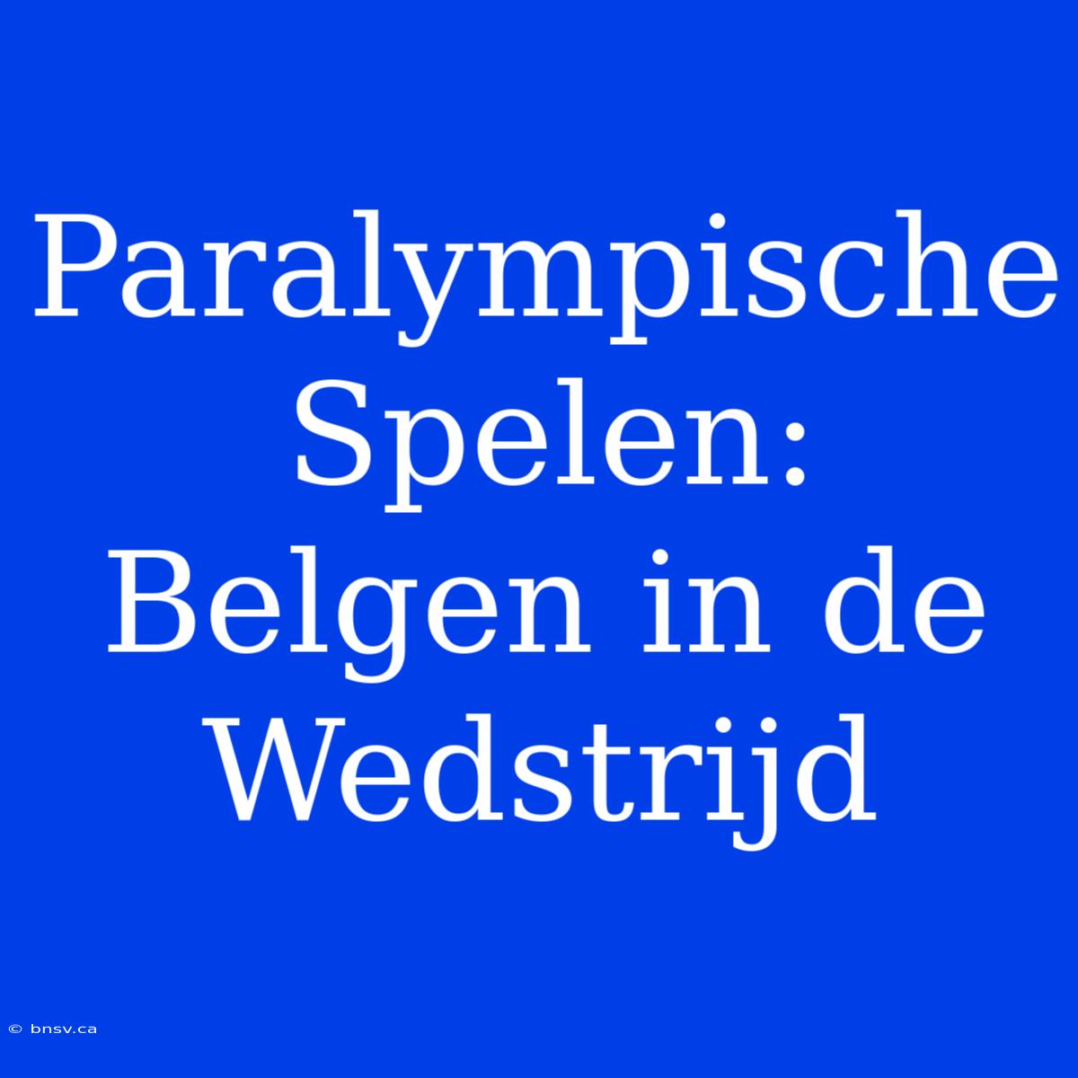 Paralympische Spelen: Belgen In De Wedstrijd