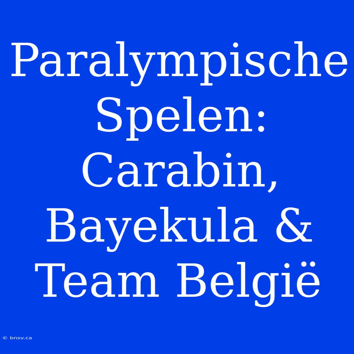 Paralympische Spelen: Carabin, Bayekula & Team België