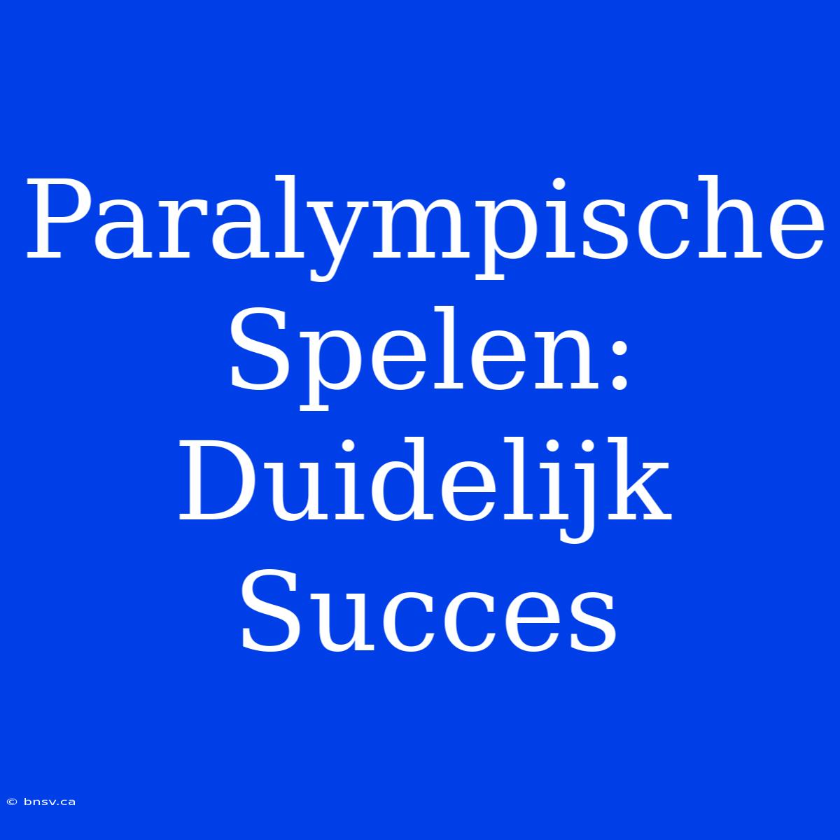 Paralympische Spelen: Duidelijk Succes