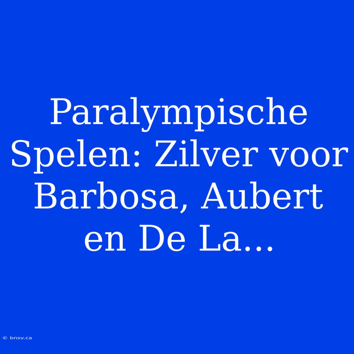 Paralympische Spelen: Zilver Voor Barbosa, Aubert En De La...