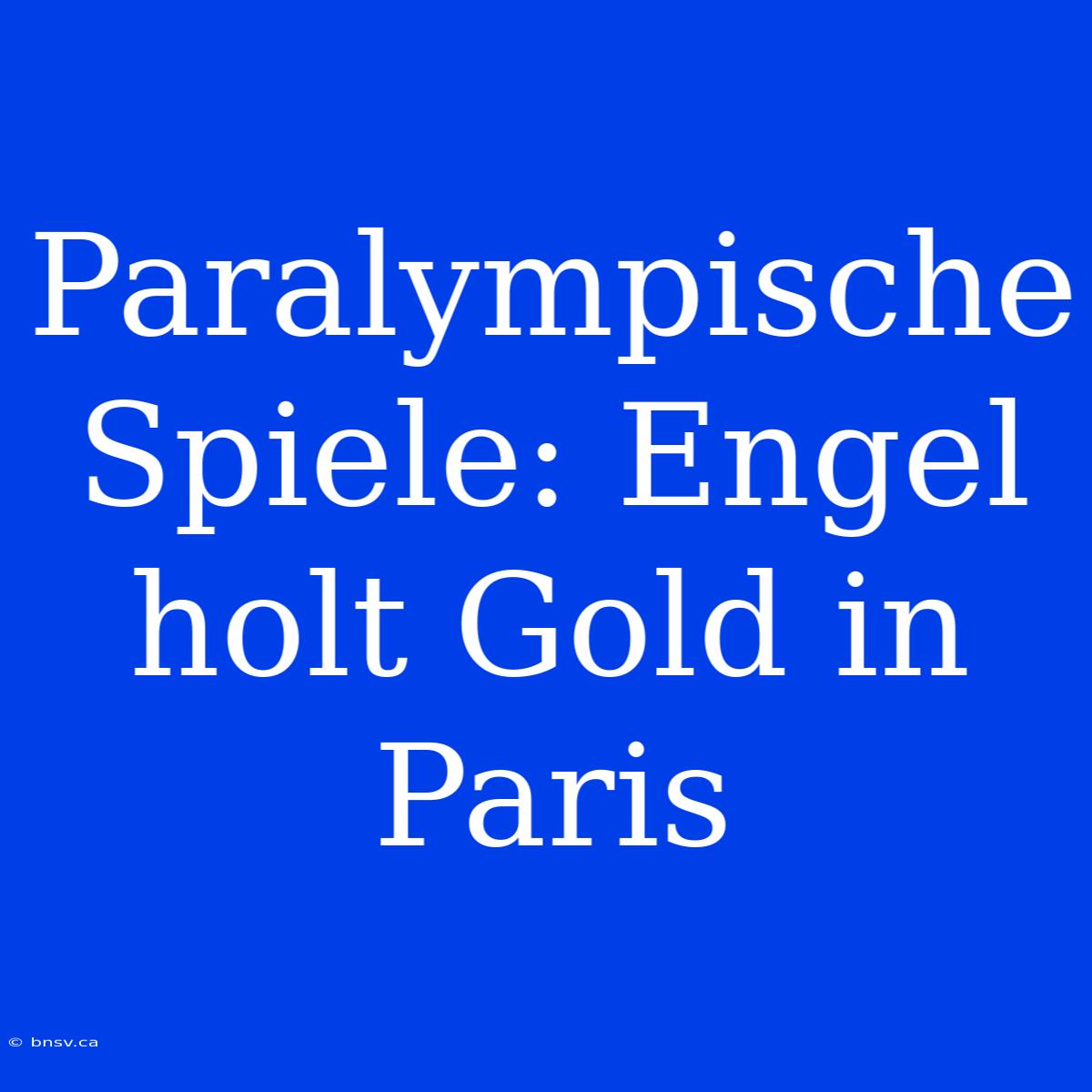 Paralympische Spiele: Engel Holt Gold In Paris