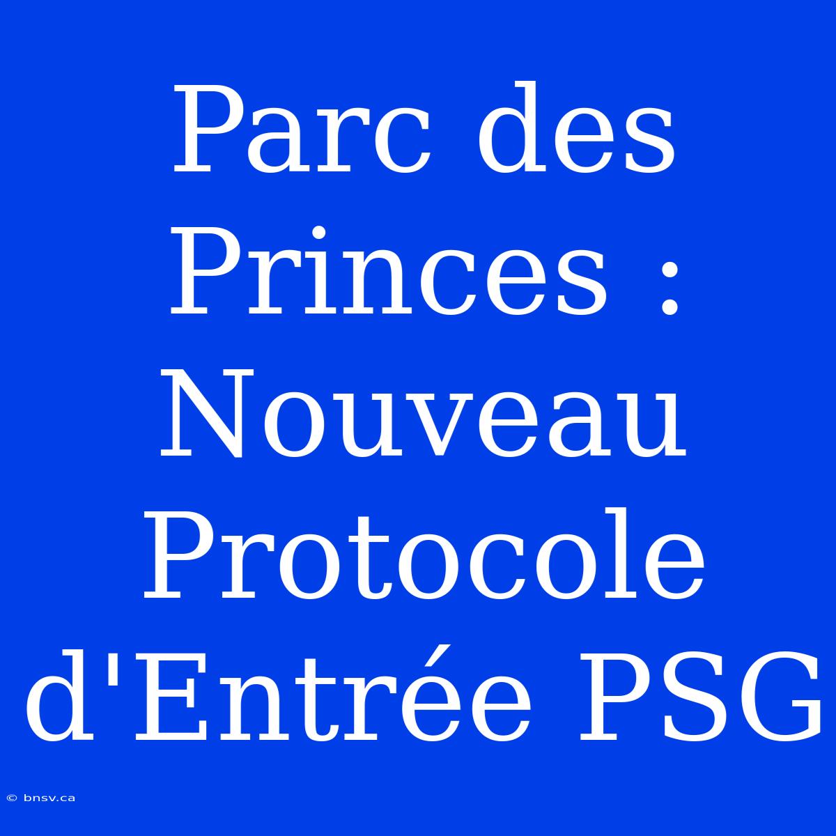 Parc Des Princes : Nouveau Protocole D'Entrée PSG