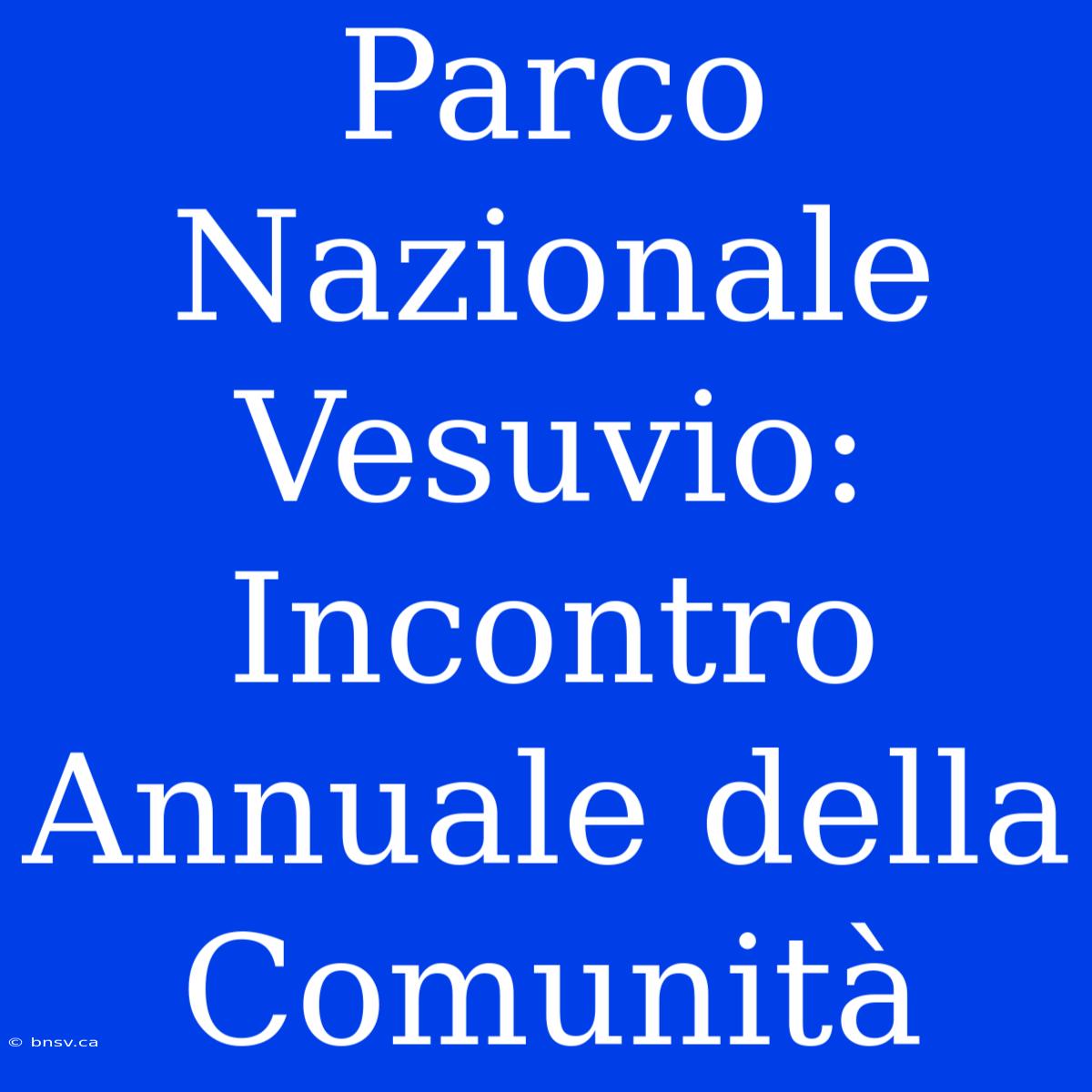 Parco Nazionale Vesuvio: Incontro Annuale Della Comunità