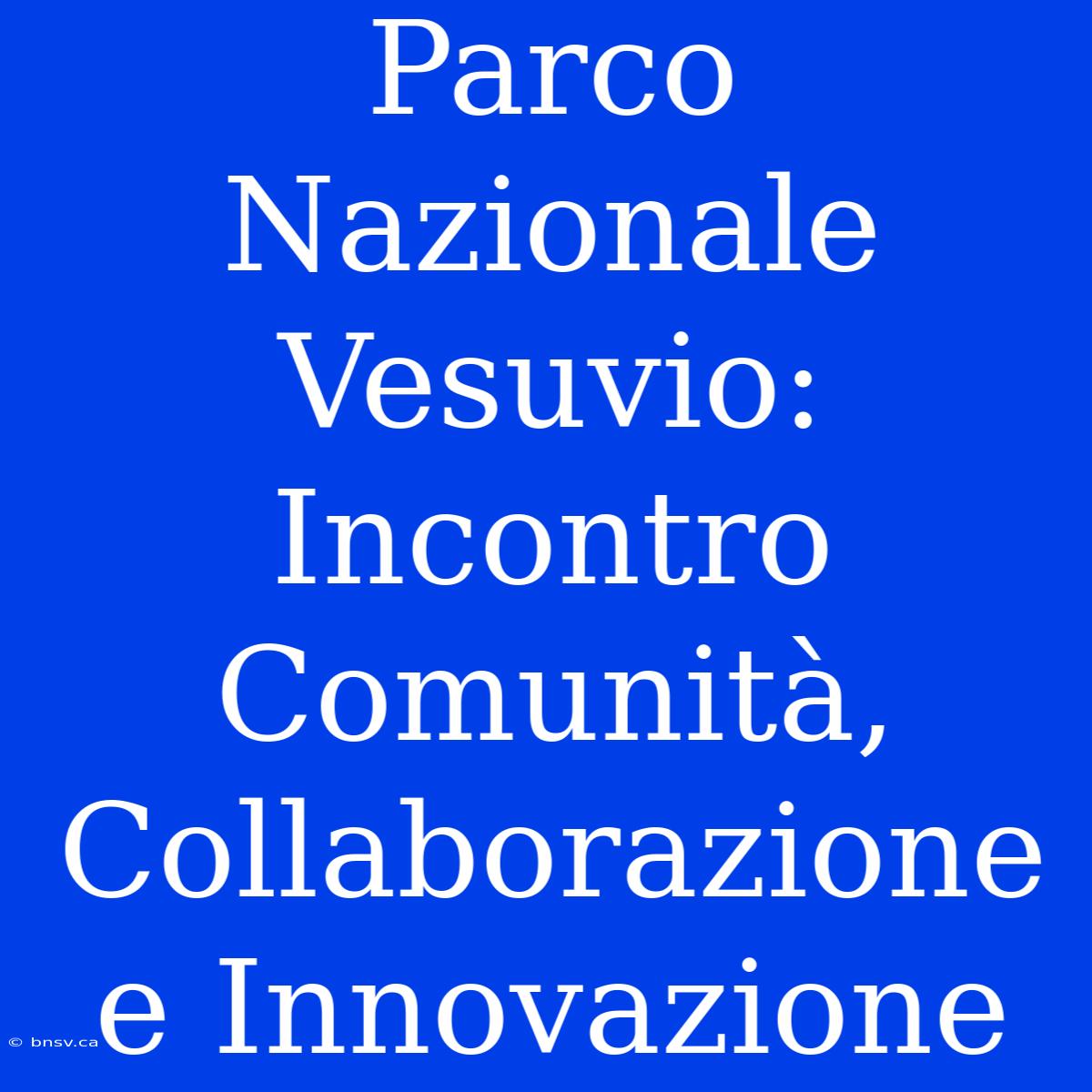 Parco Nazionale Vesuvio: Incontro Comunità, Collaborazione E Innovazione