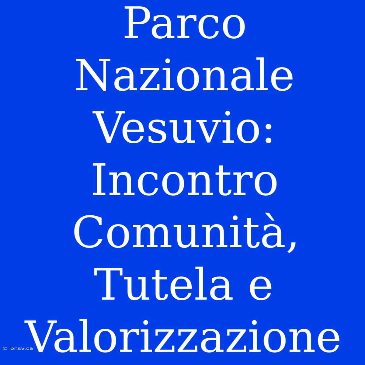 Parco Nazionale Vesuvio: Incontro Comunità, Tutela E Valorizzazione