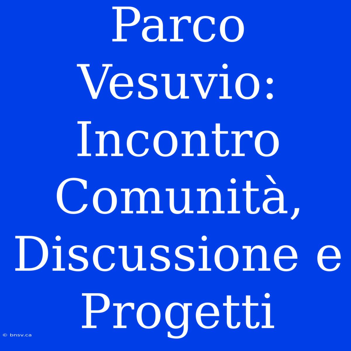 Parco Vesuvio: Incontro Comunità, Discussione E Progetti