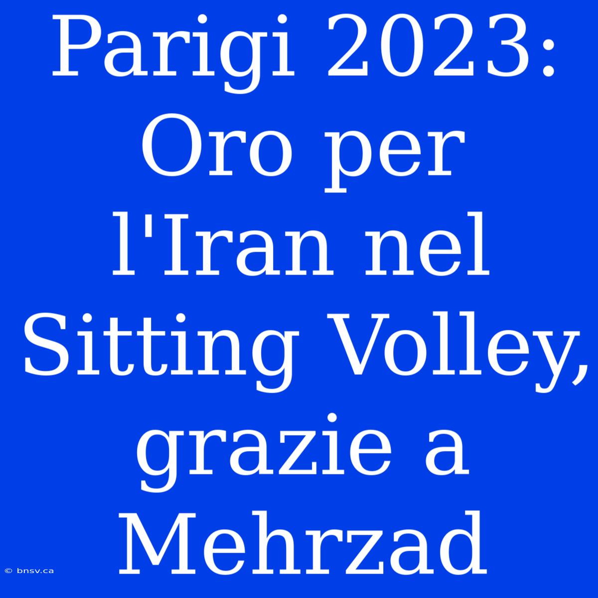 Parigi 2023: Oro Per L'Iran Nel Sitting Volley, Grazie A Mehrzad