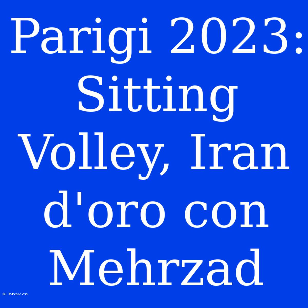 Parigi 2023: Sitting Volley, Iran D'oro Con Mehrzad