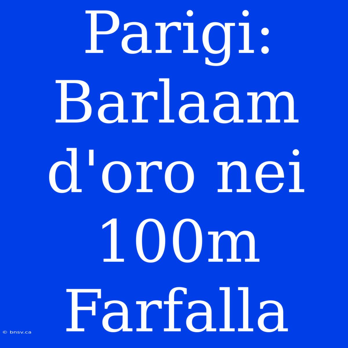 Parigi: Barlaam D'oro Nei 100m Farfalla