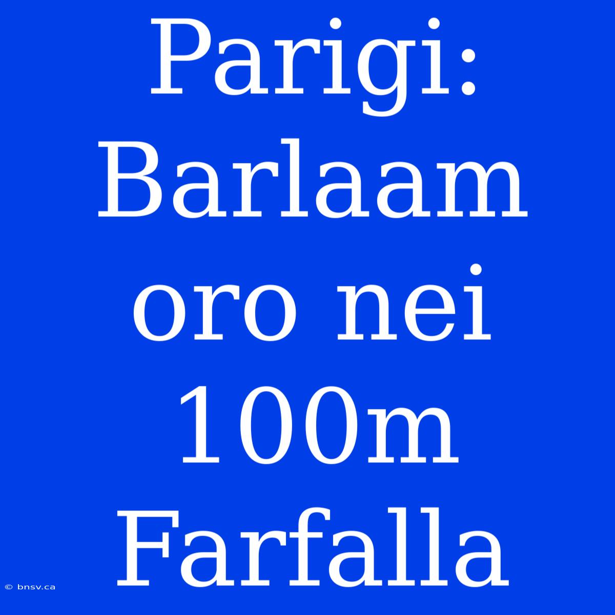 Parigi: Barlaam Oro Nei 100m Farfalla