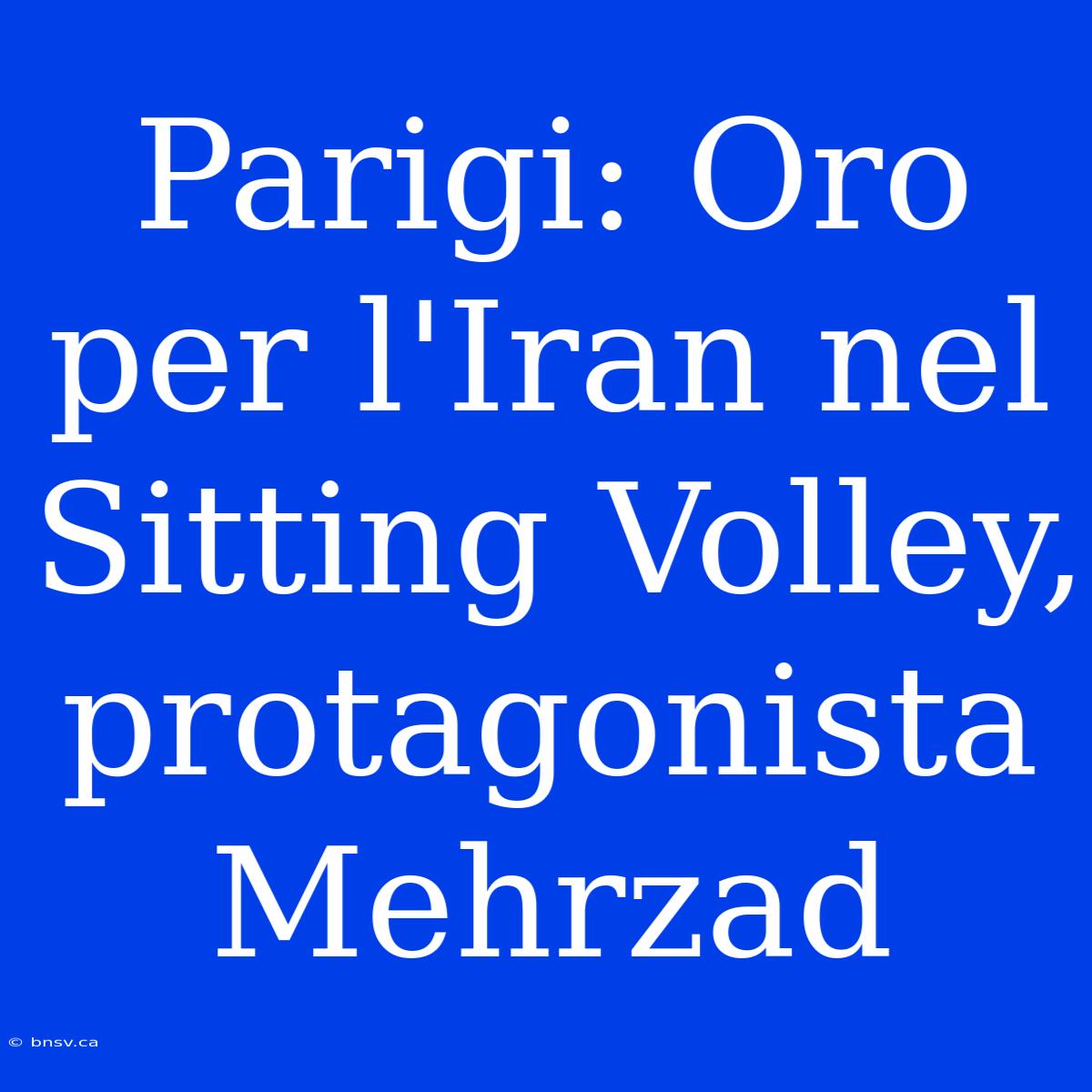 Parigi: Oro Per L'Iran Nel Sitting Volley, Protagonista Mehrzad