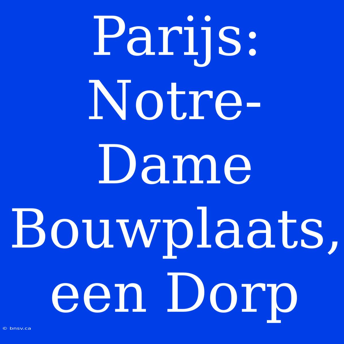 Parijs: Notre-Dame Bouwplaats, Een Dorp