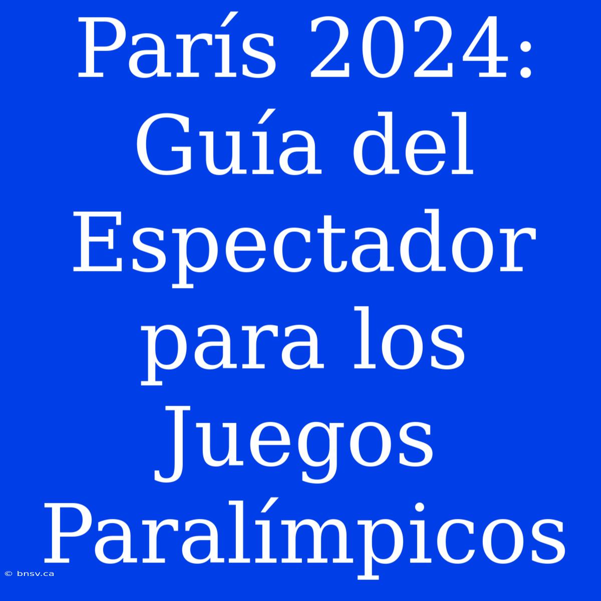 París 2024: Guía Del Espectador Para Los Juegos Paralímpicos