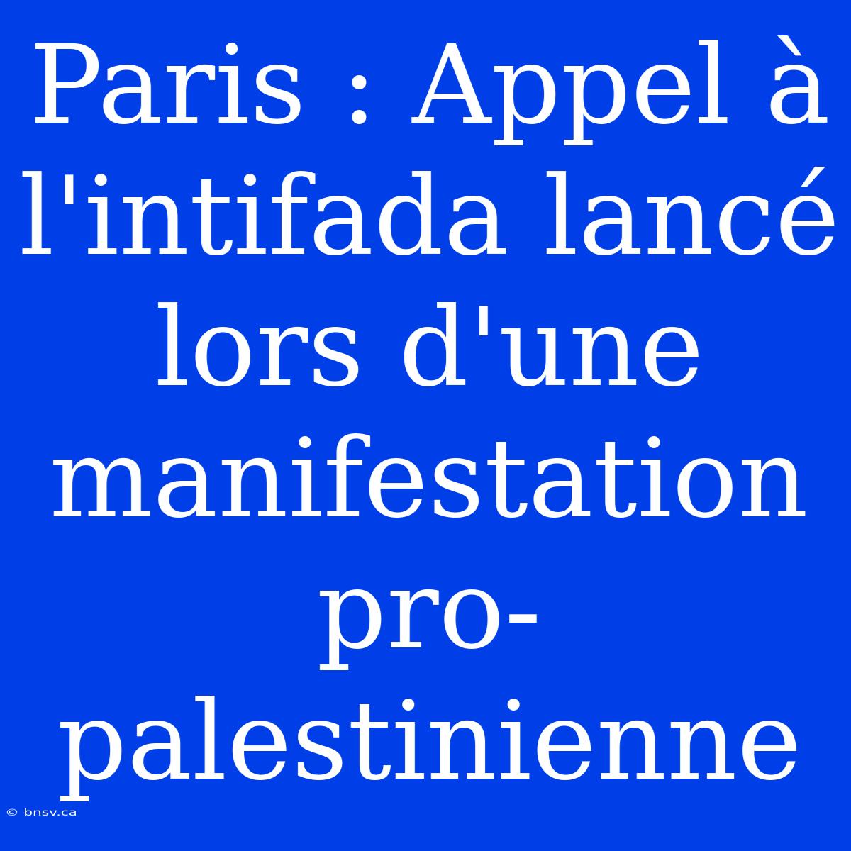 Paris : Appel À L'intifada Lancé Lors D'une Manifestation Pro-palestinienne