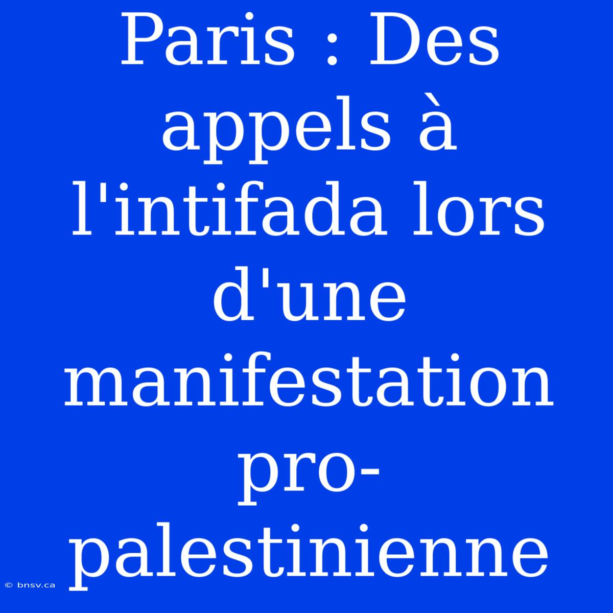 Paris : Des Appels À L'intifada Lors D'une Manifestation Pro-palestinienne