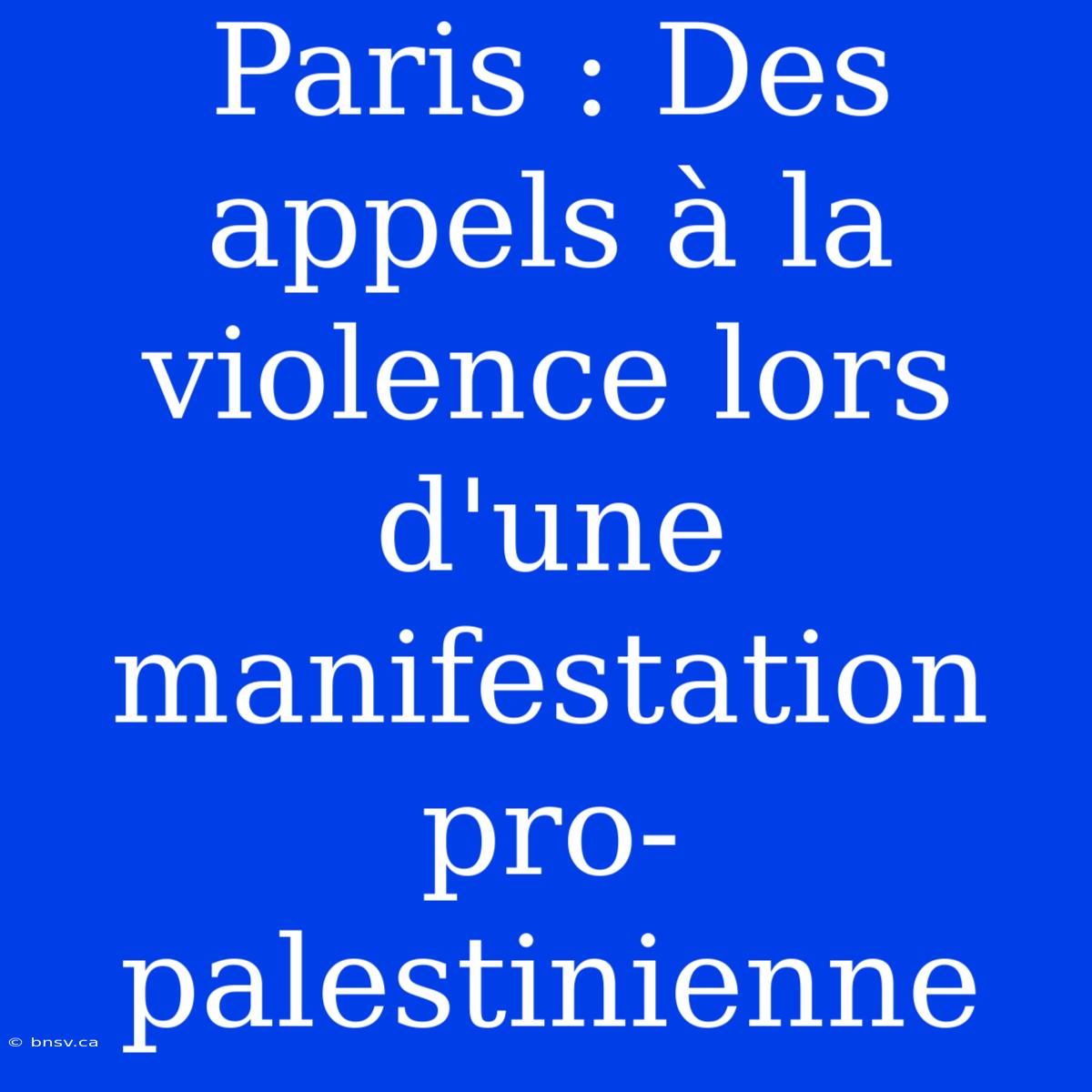 Paris : Des Appels À La Violence Lors D'une Manifestation Pro-palestinienne