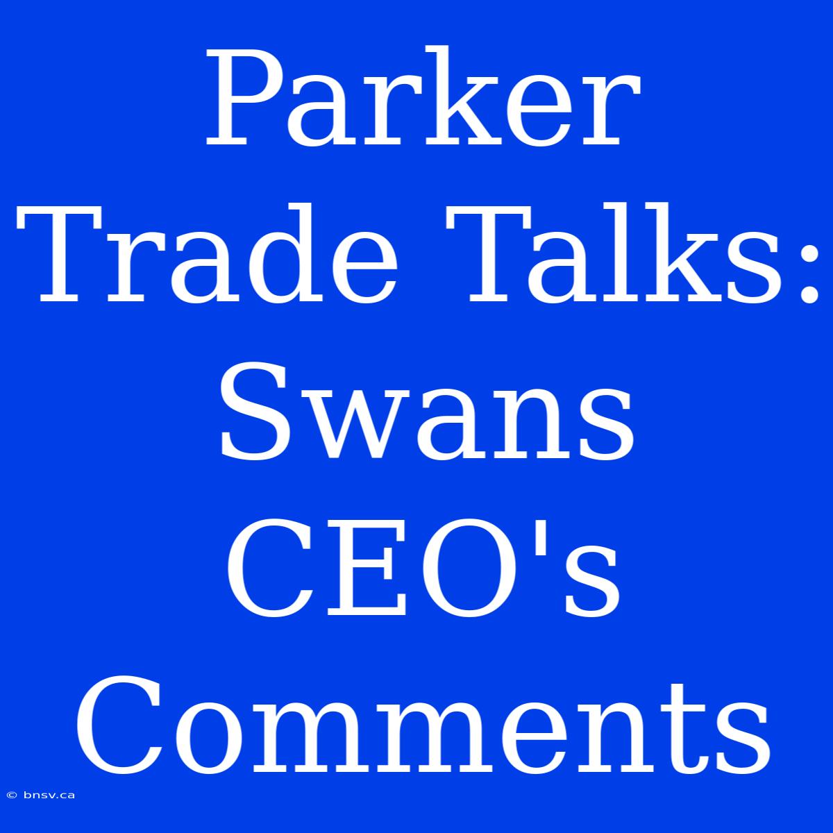 Parker Trade Talks: Swans CEO's Comments