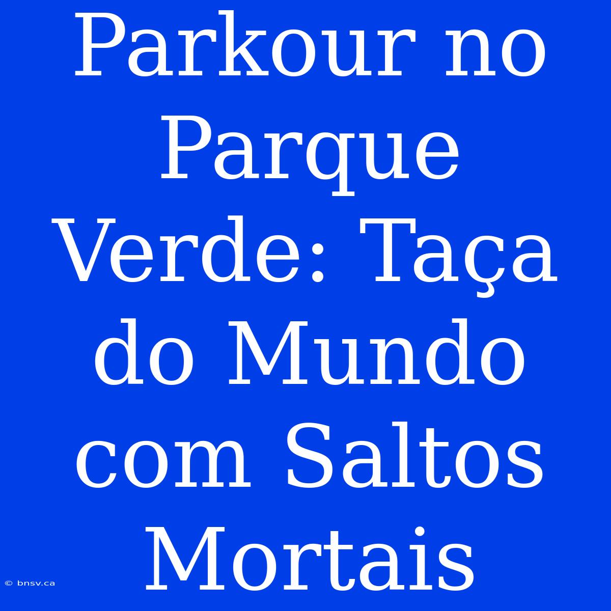 Parkour No Parque Verde: Taça Do Mundo Com Saltos Mortais