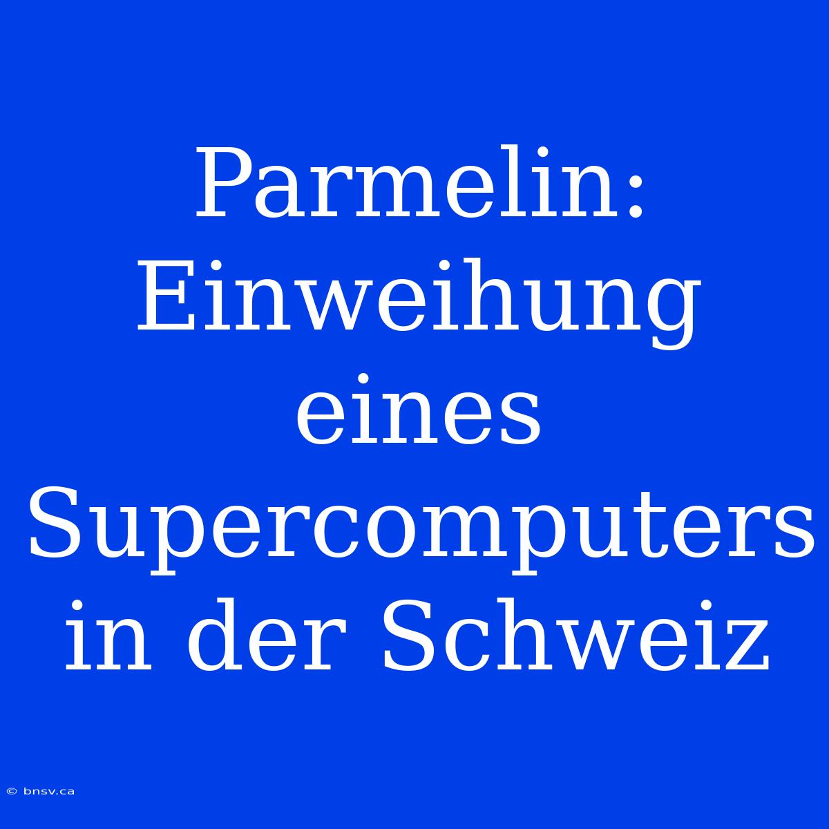 Parmelin: Einweihung Eines Supercomputers In Der Schweiz