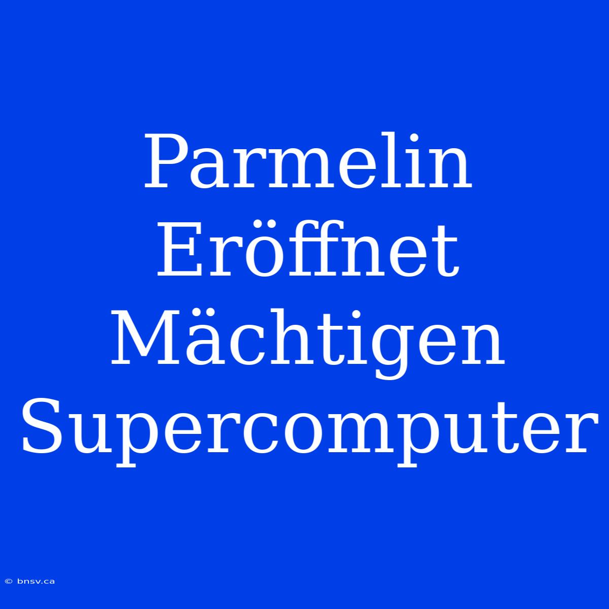 Parmelin Eröffnet Mächtigen Supercomputer