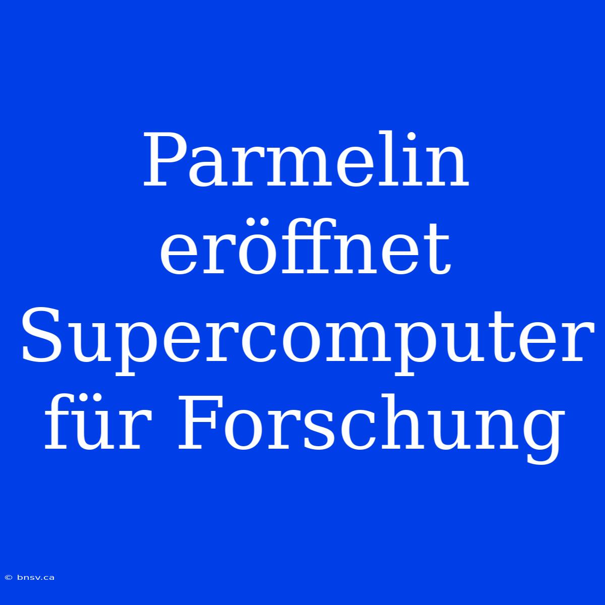 Parmelin Eröffnet Supercomputer Für Forschung