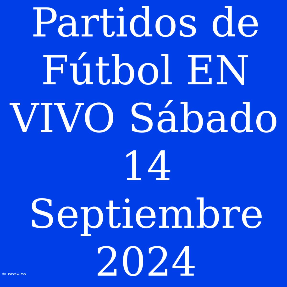 Partidos De Fútbol EN VIVO Sábado 14 Septiembre 2024