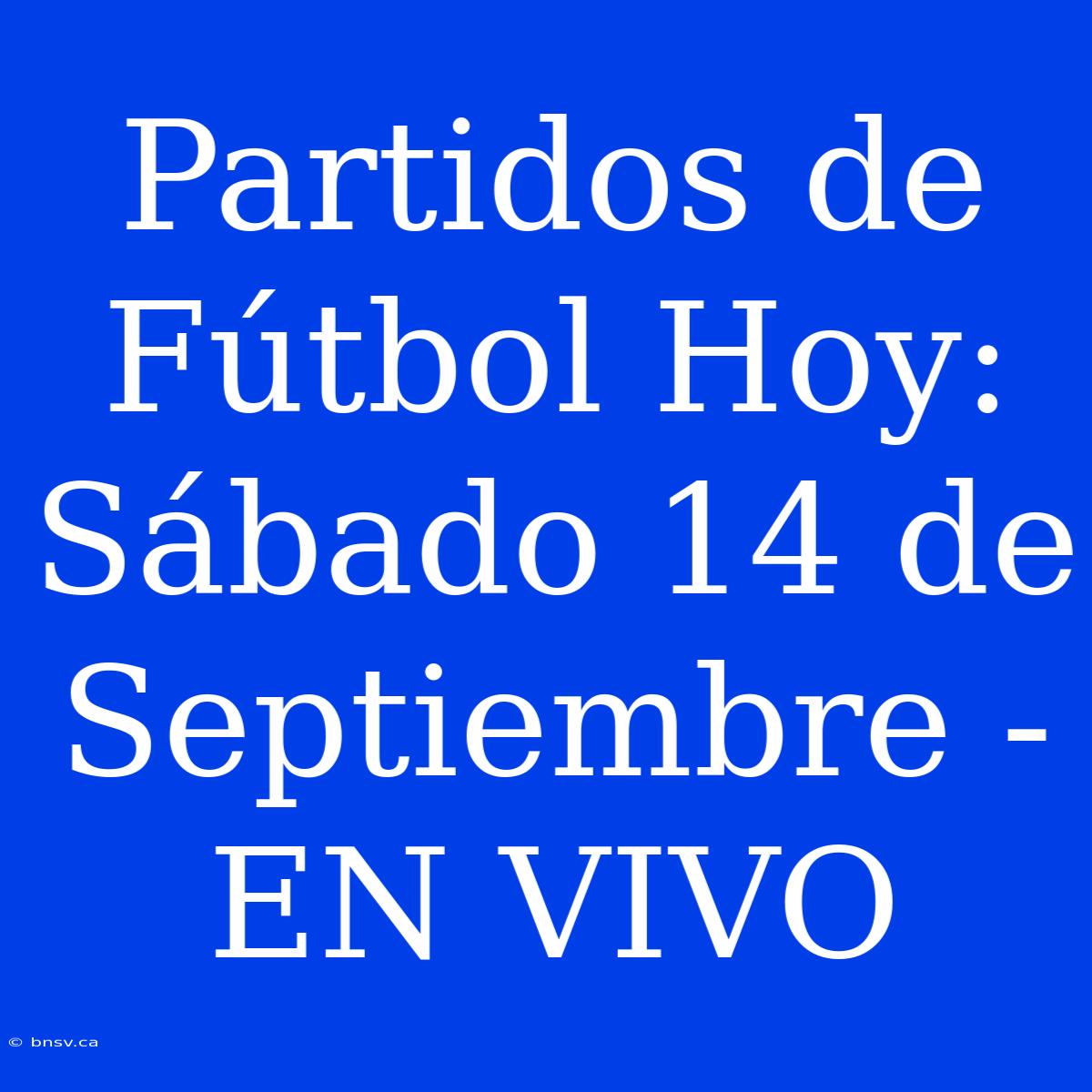 Partidos De Fútbol Hoy: Sábado 14 De Septiembre - EN VIVO