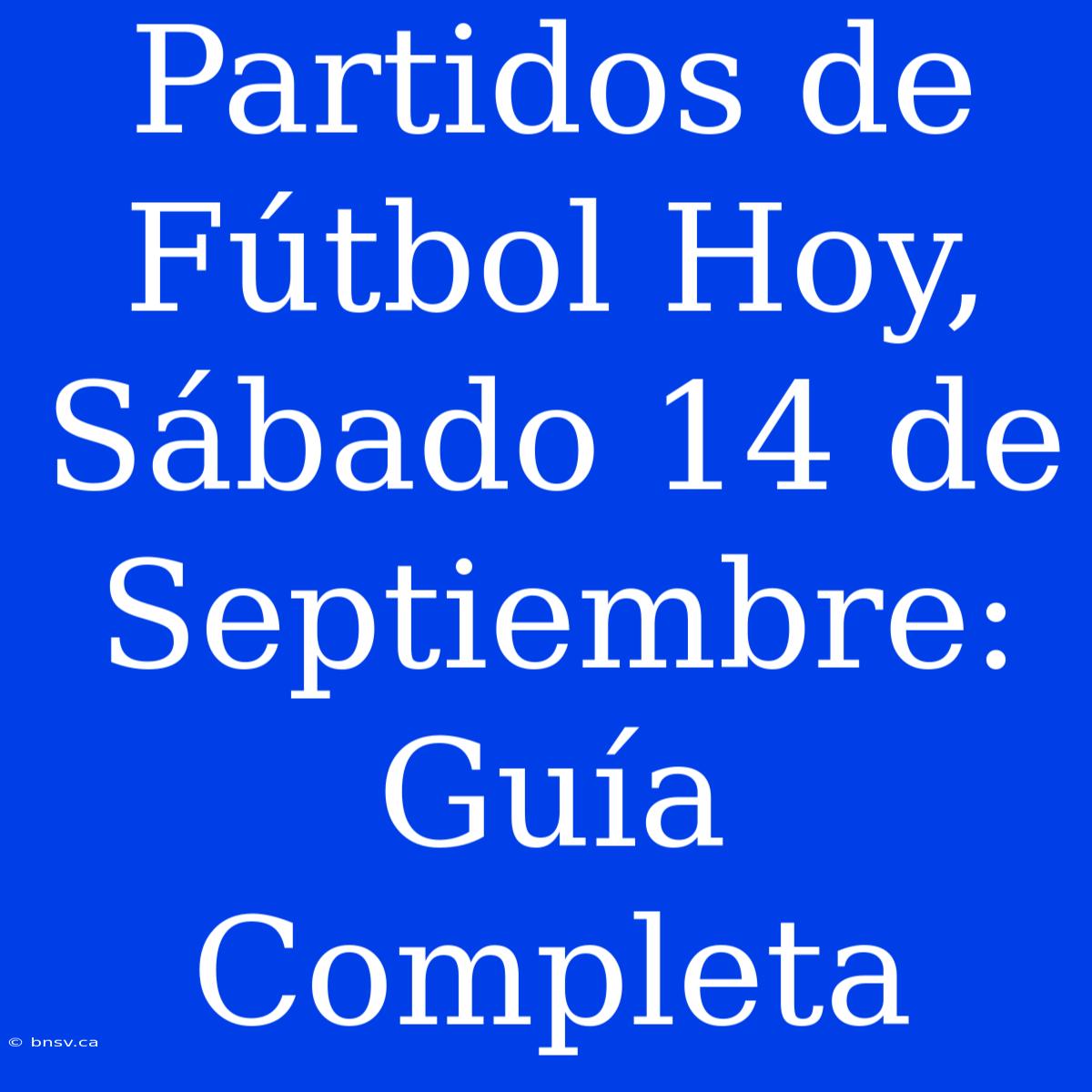 Partidos De Fútbol Hoy, Sábado 14 De Septiembre: Guía Completa