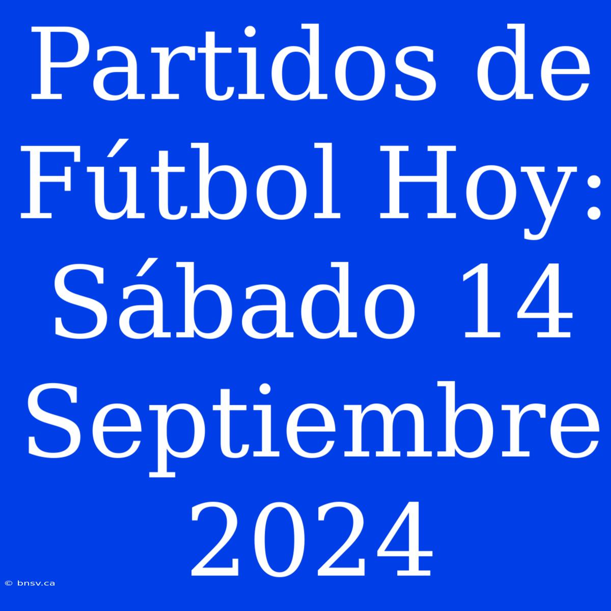 Partidos De Fútbol Hoy: Sábado 14 Septiembre 2024