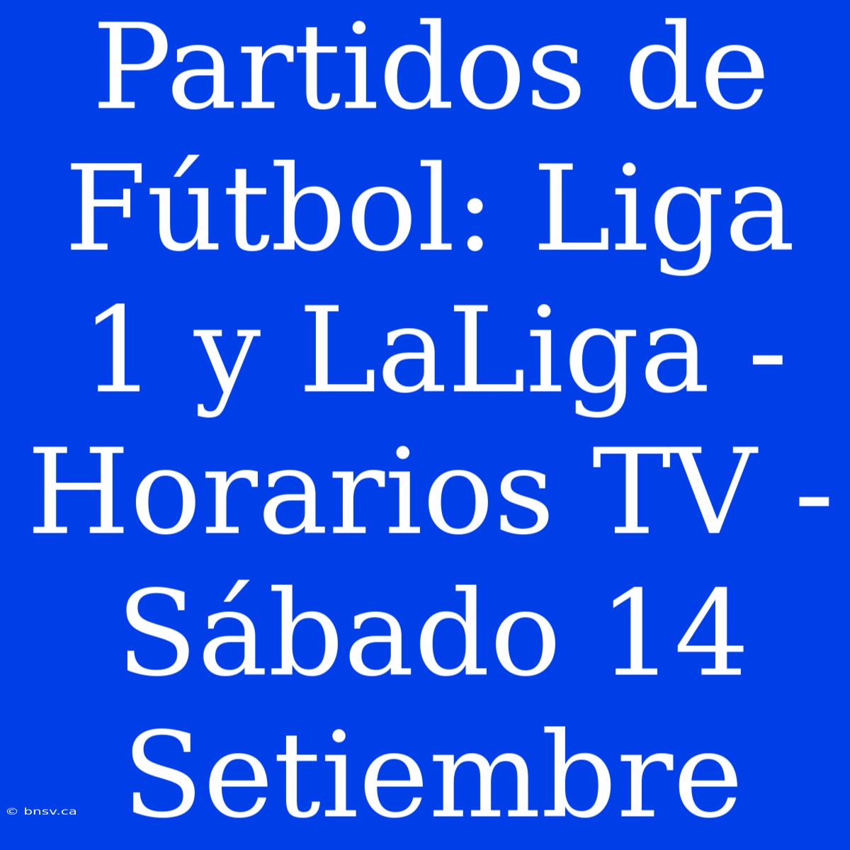 Partidos De Fútbol: Liga 1 Y LaLiga - Horarios TV - Sábado 14 Setiembre