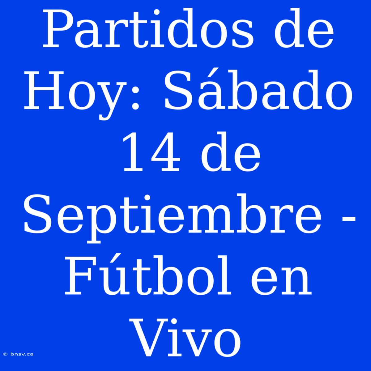 Partidos De Hoy: Sábado 14 De Septiembre - Fútbol En Vivo