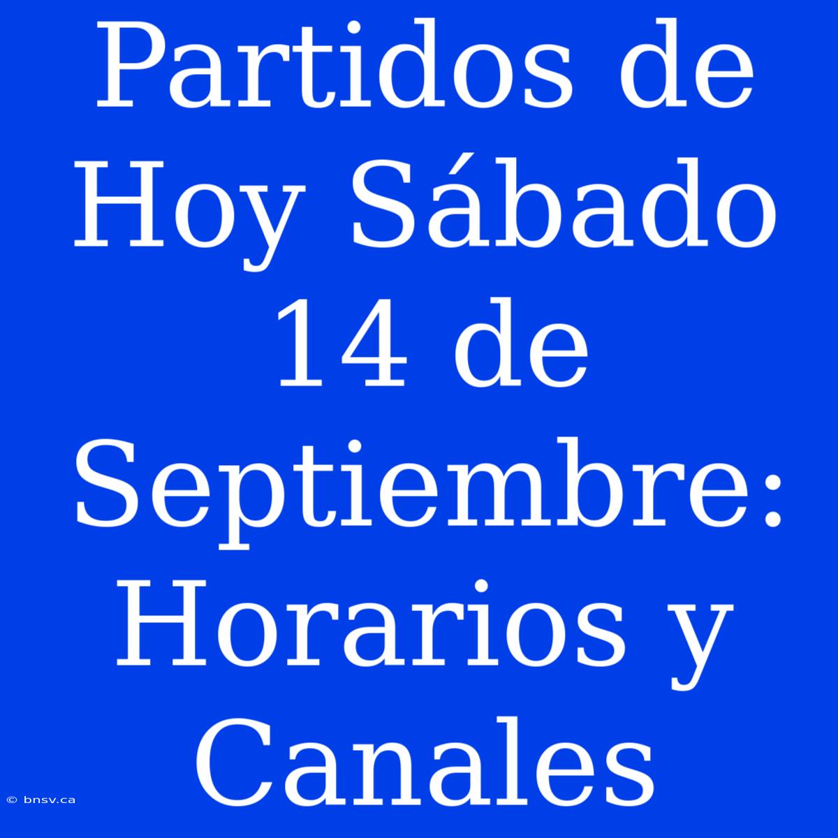 Partidos De Hoy Sábado 14 De Septiembre: Horarios Y Canales