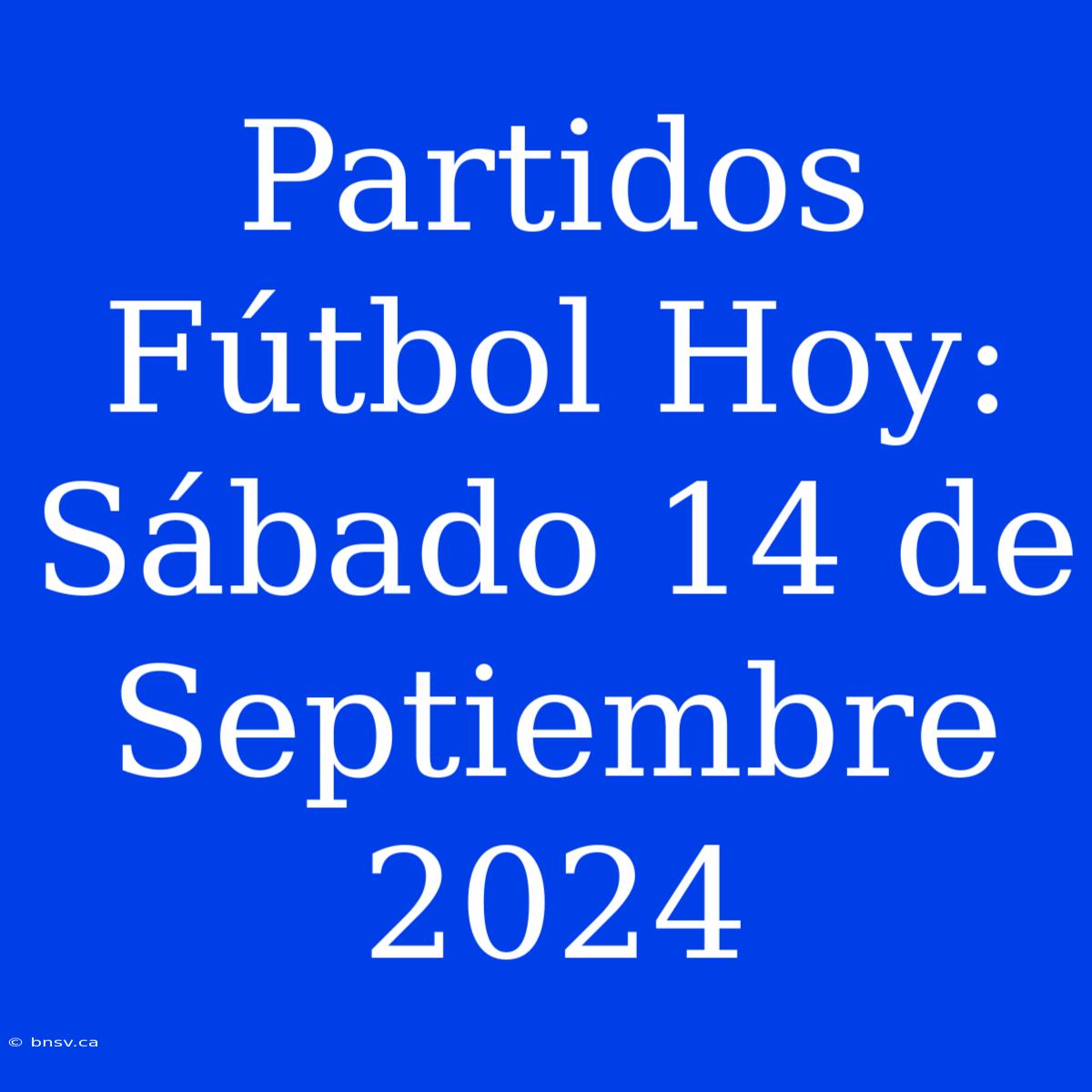 Partidos Fútbol Hoy: Sábado 14 De Septiembre 2024