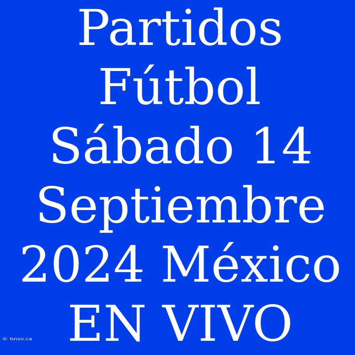 Partidos Fútbol Sábado 14 Septiembre 2024 México EN VIVO