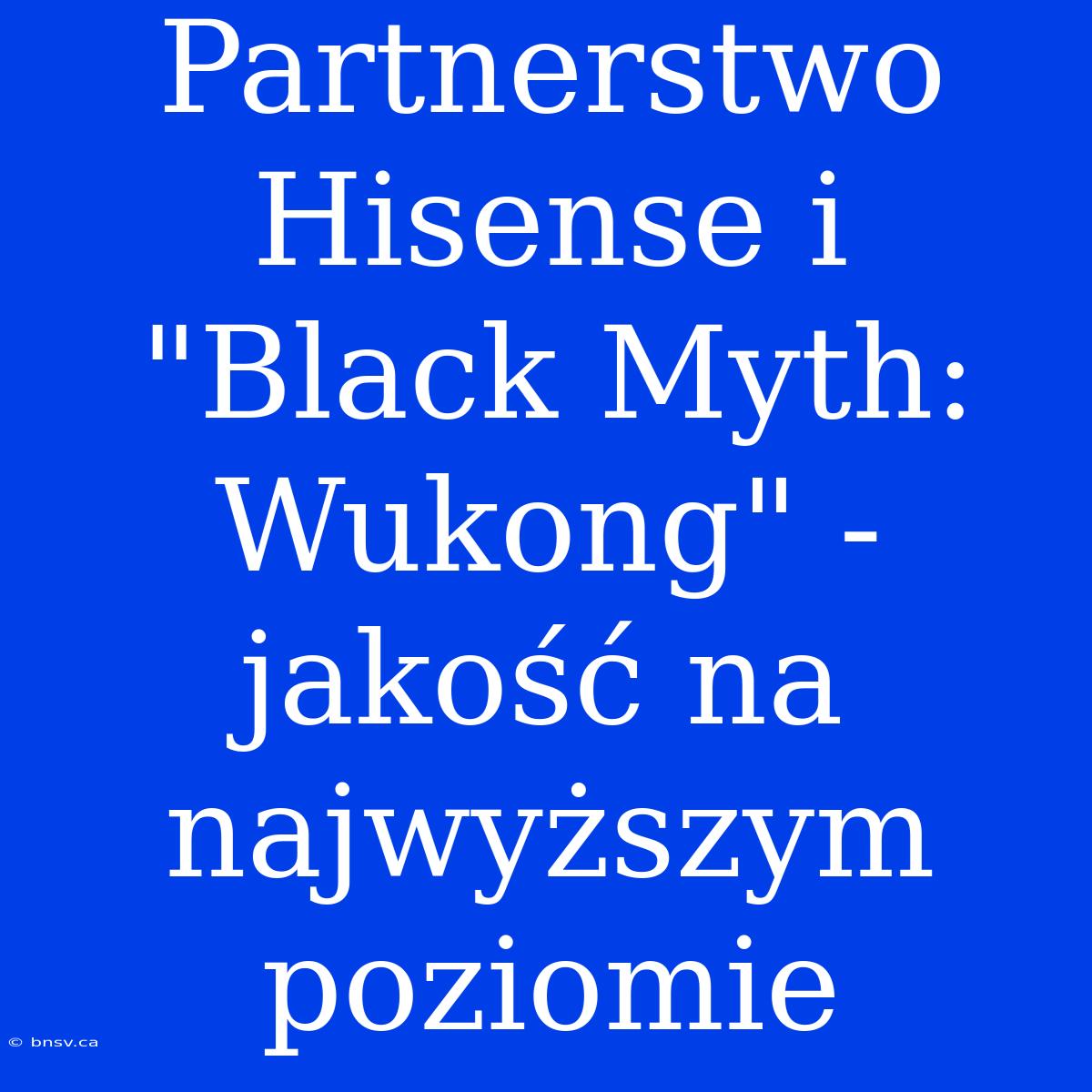 Partnerstwo Hisense I 