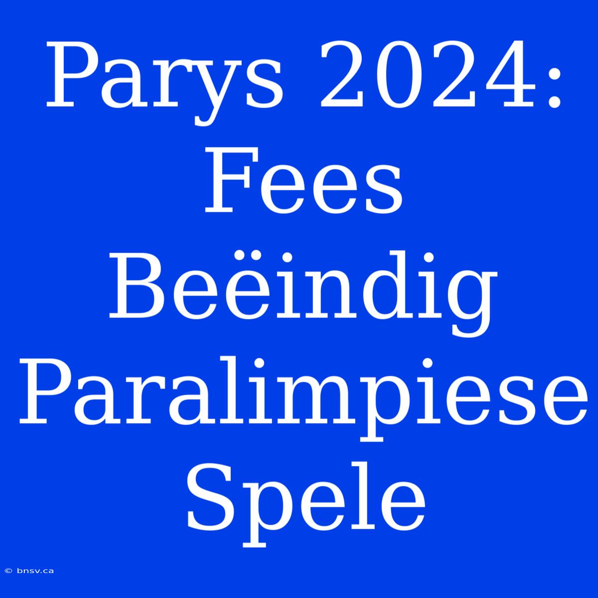 Parys 2024: Fees Beëindig Paralimpiese Spele