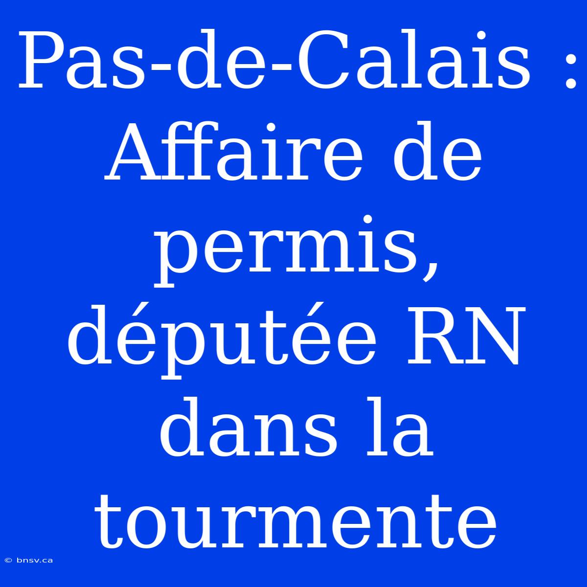 Pas-de-Calais : Affaire De Permis, Députée RN Dans La Tourmente