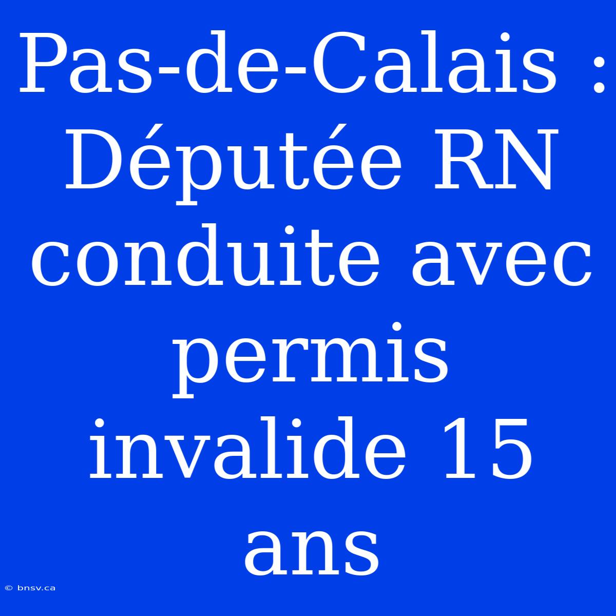 Pas-de-Calais : Députée RN Conduite Avec Permis Invalide 15 Ans