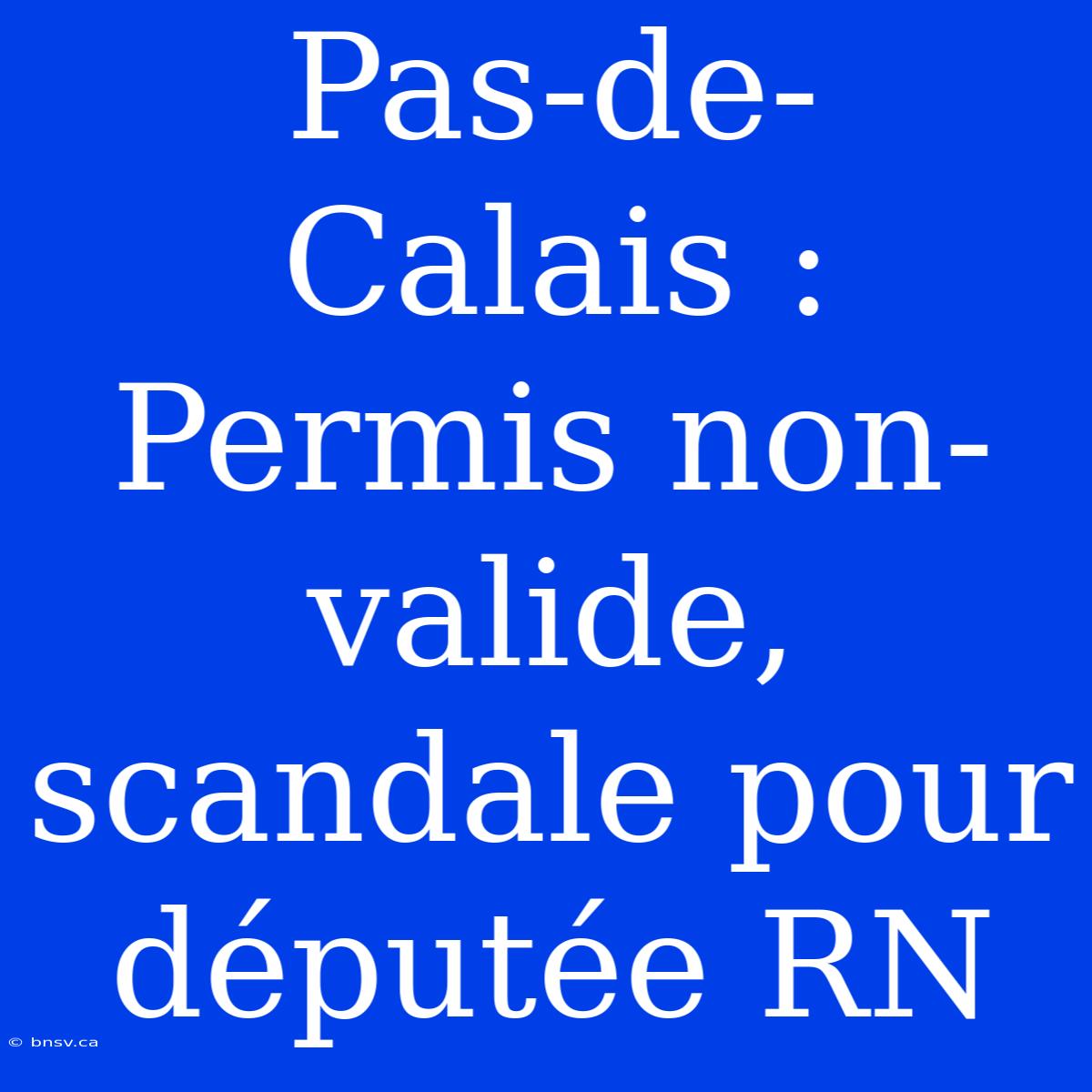 Pas-de-Calais : Permis Non-valide, Scandale Pour Députée RN