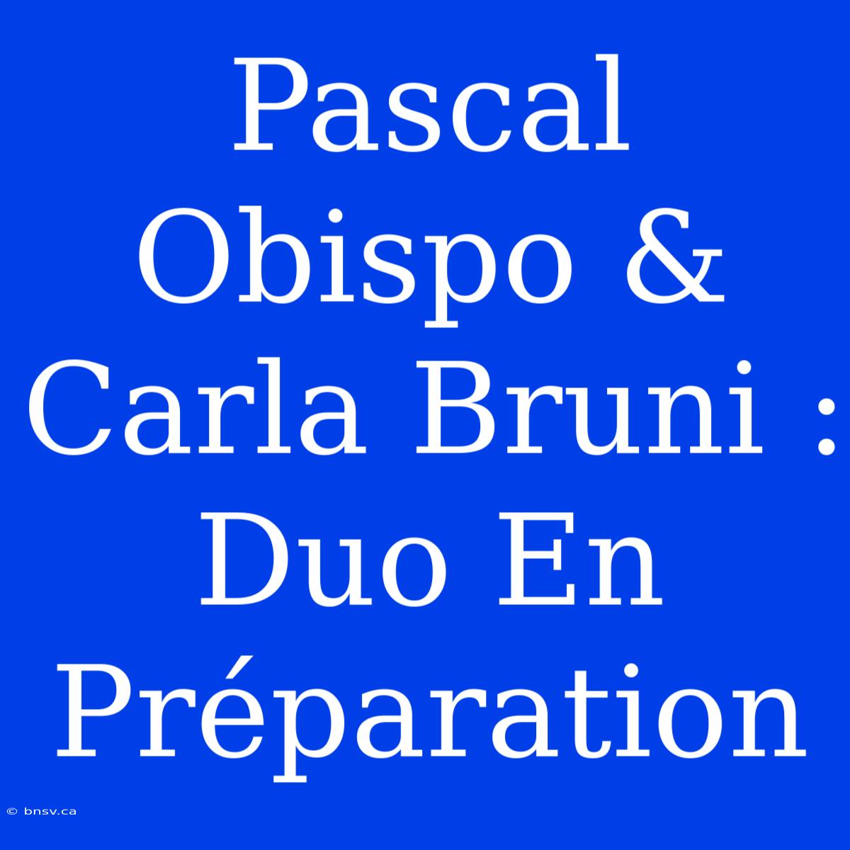 Pascal Obispo & Carla Bruni : Duo En Préparation