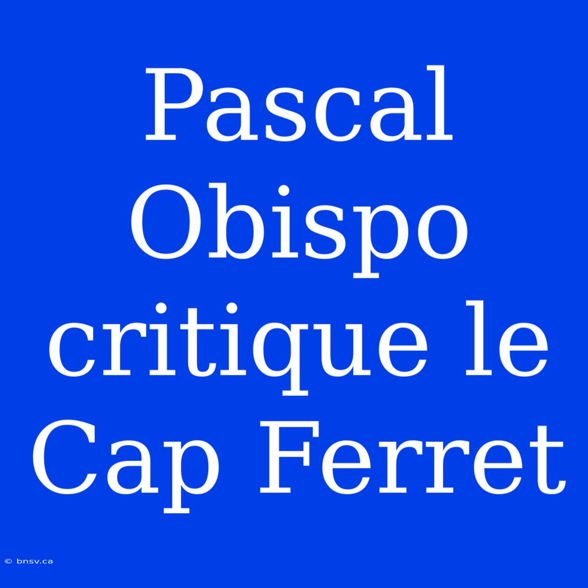 Pascal Obispo Critique Le Cap Ferret