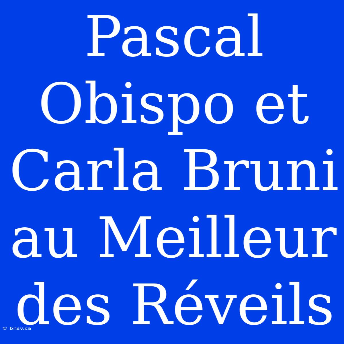 Pascal Obispo Et Carla Bruni Au Meilleur Des Réveils