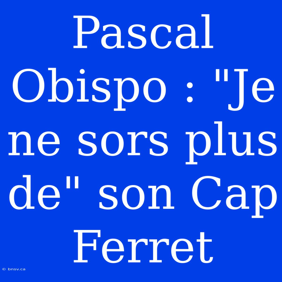 Pascal Obispo : 