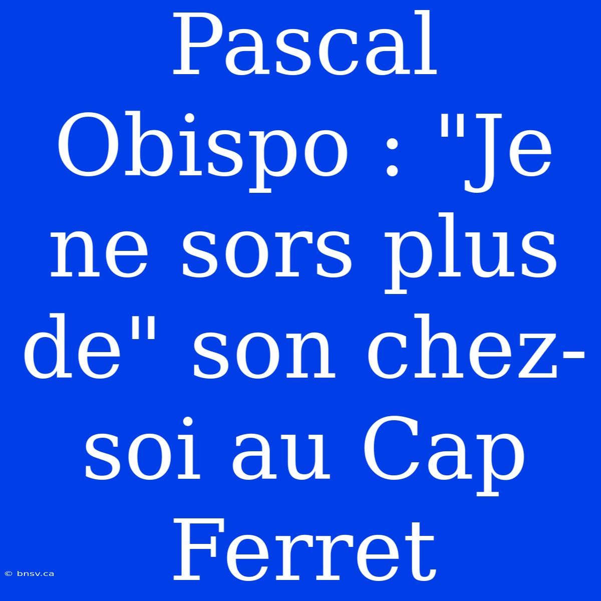 Pascal Obispo : 