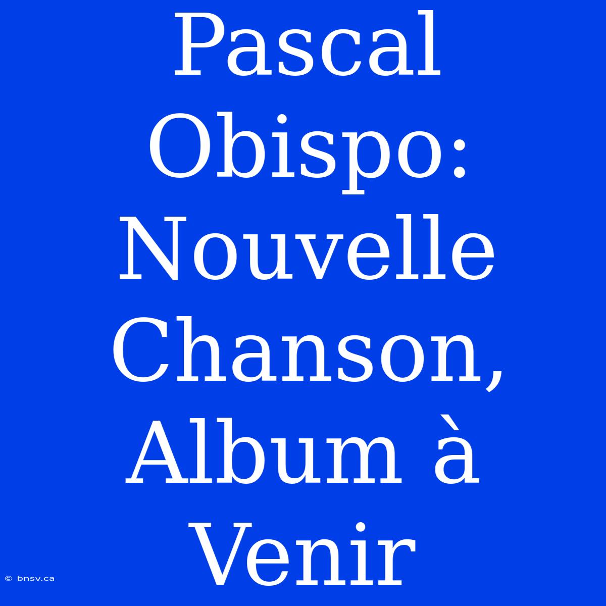 Pascal Obispo: Nouvelle Chanson, Album À Venir